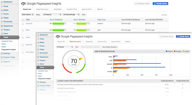 Insights from Google PageSpeed